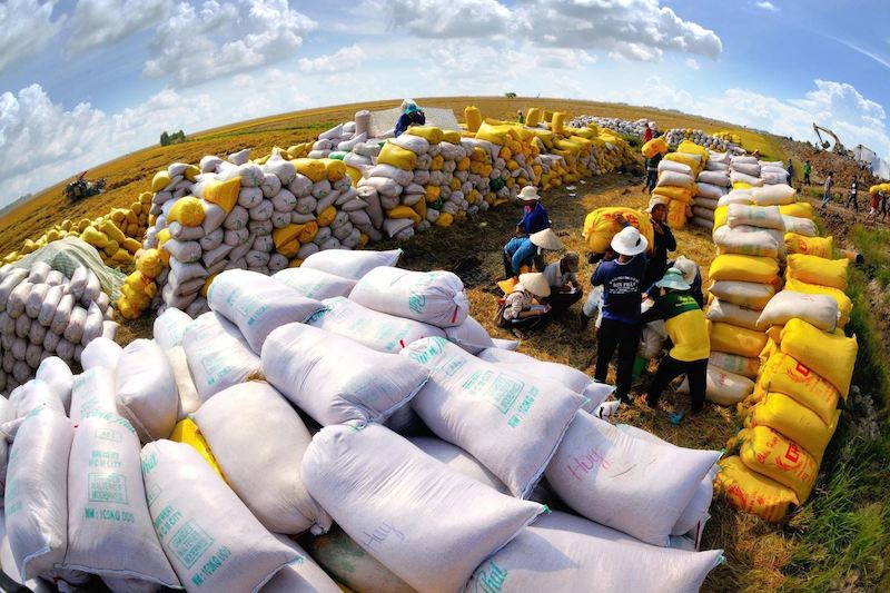 Xuất khẩu gạo Việt Nam lập kỷ lục mới.
