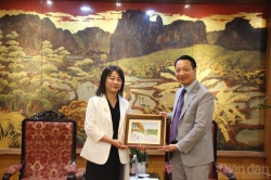 Khơi thông tiềm năng hợp tác giữa doanh nghiệp Việt Nam - Tứ Xuyên