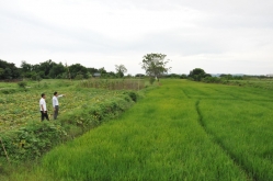 Quảng Ninh: Siết chặt quản lý trong lĩnh vực đất đai