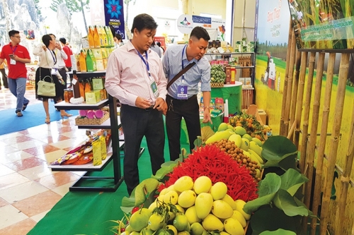 Cần sớm xây dựng nghị định quản lý, phát triển thương hiệu nông sản Việt Nam