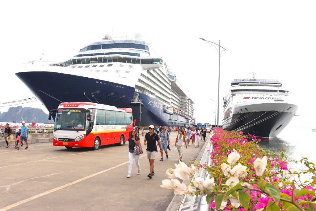 Tại Đông Nam Á, cùng với Thái Lan và Singapore, Việt Nam là một trong 3 nơi yêu thích của du khách tàu biển quốc tế.