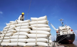 Xuất khẩu gạo tiếp đà tăng tốc năm 2024